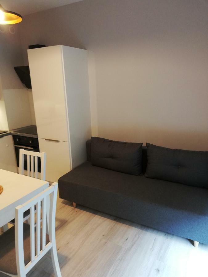 Centrum Wieckowskiego Apartment