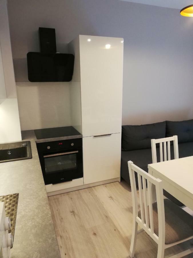 Centrum Wieckowskiego Apartment *